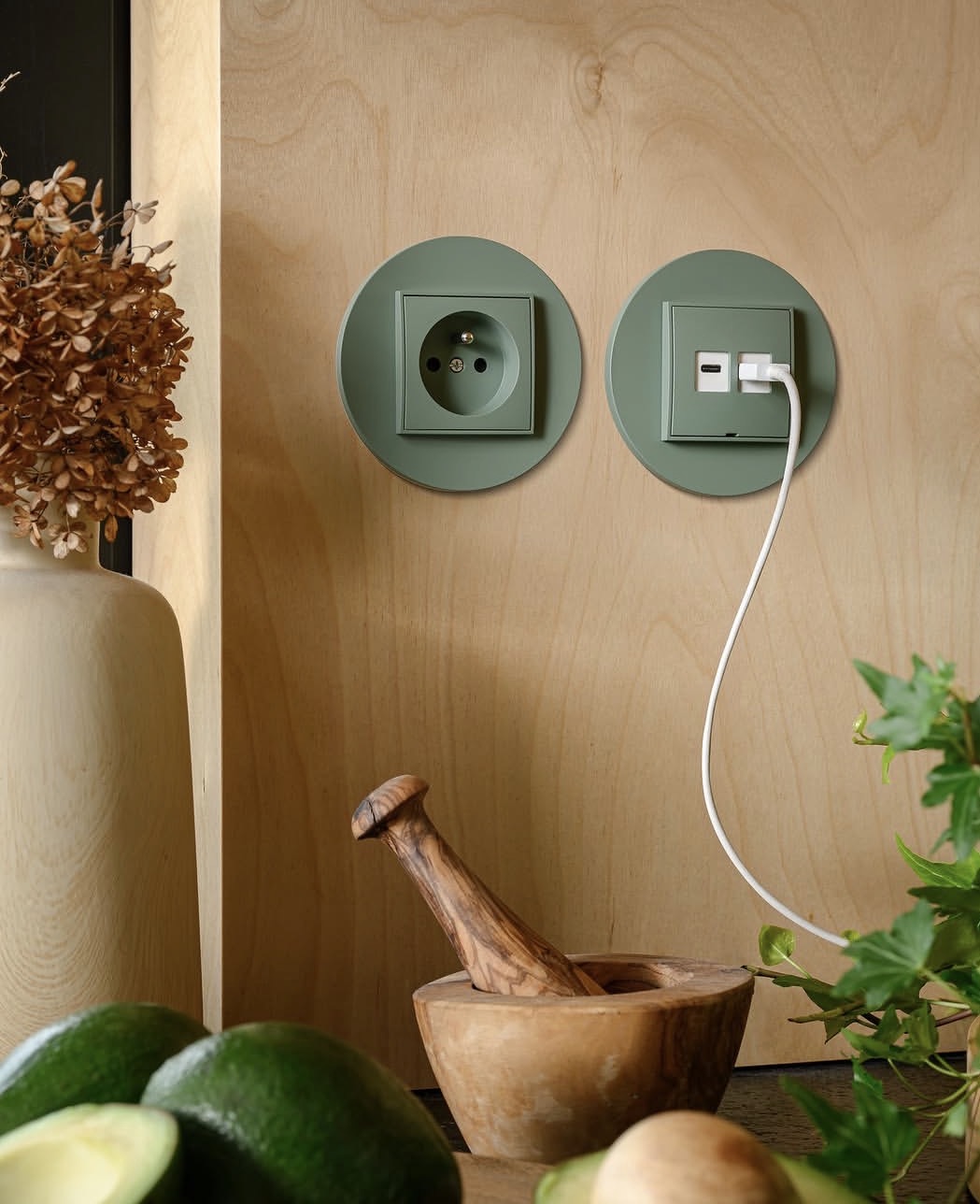 Sage green round socket with earth pin and USB module on a plywood kitchen wall