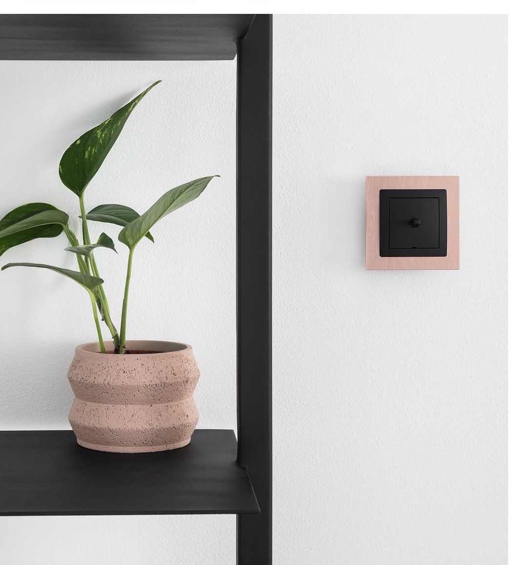 Blush pink square frame with black switch insert beside a shelf